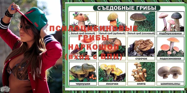 прущие крисы Лабытнанги