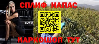 прущие грибы Бузулук
