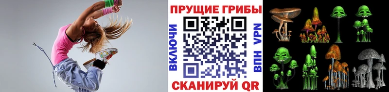 Галлюциногенные грибы Psilocybine cubensis  Качканар 