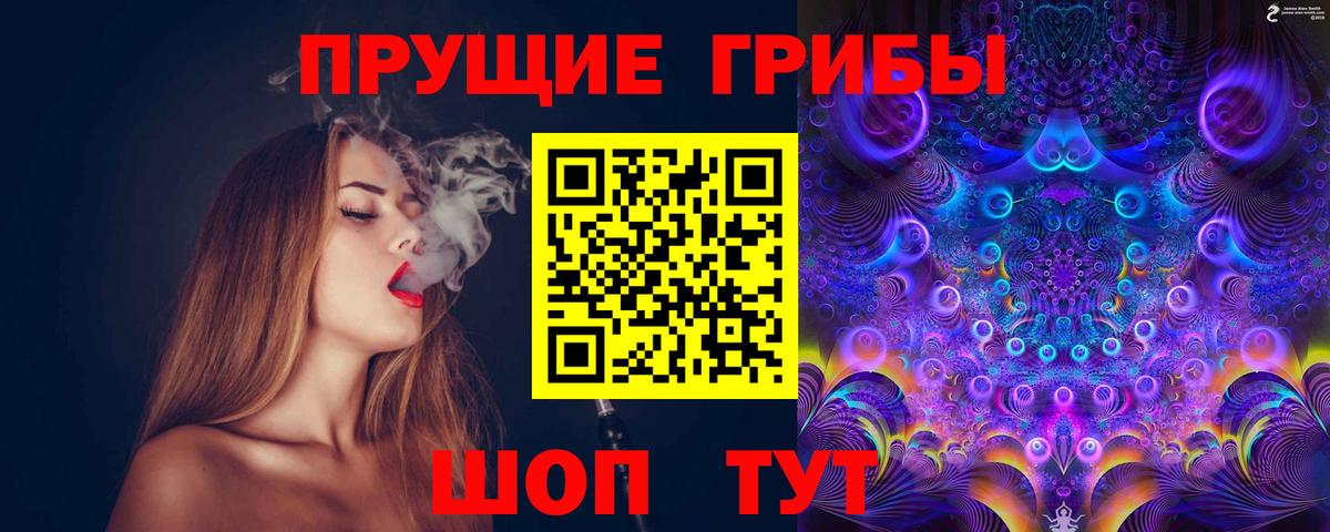 Псилоцибиновые грибы GOLDEN TEACHER  Вход с VPN  Качканар  Псилоцибиновые грибы мицелий 